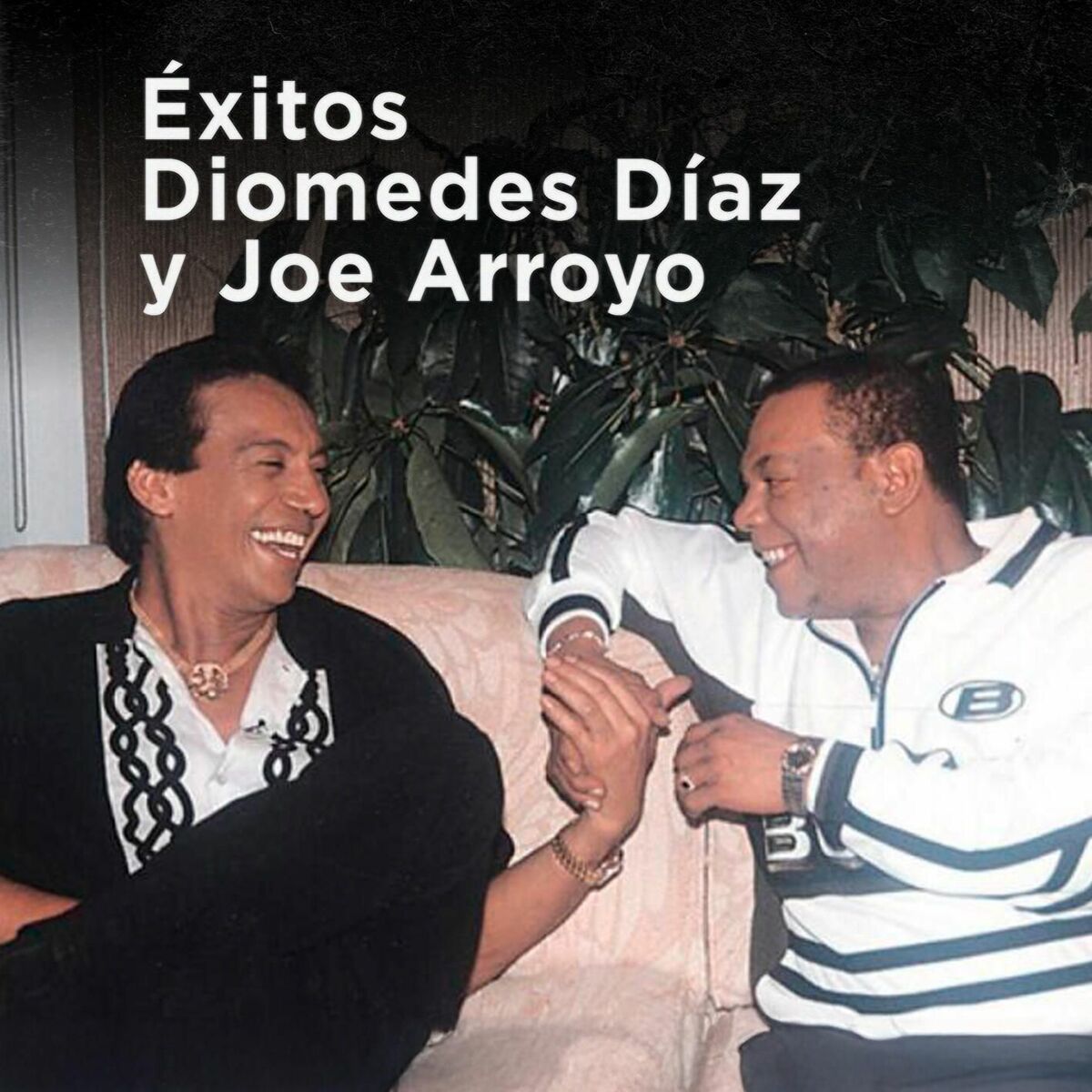 Album cover of Éxitos Diomedes Díaz y Joe Arroyo