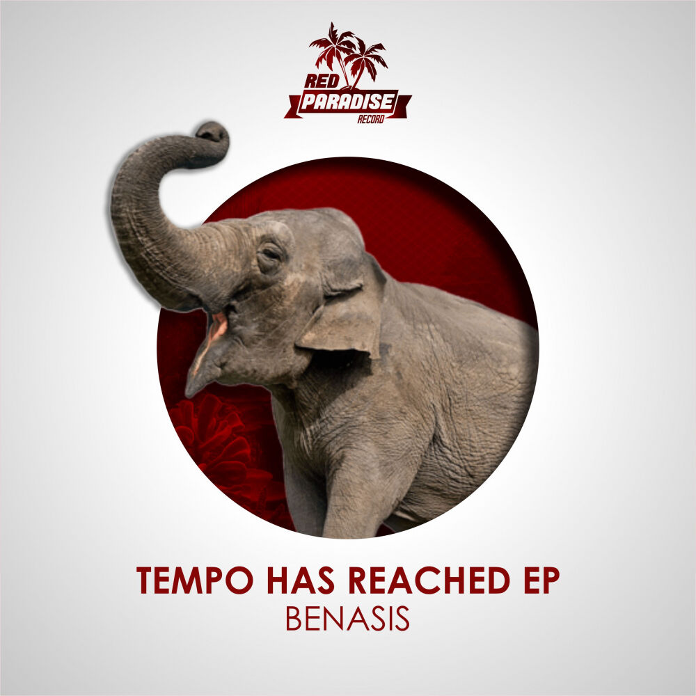 Picture of Tempo Has Reached EP