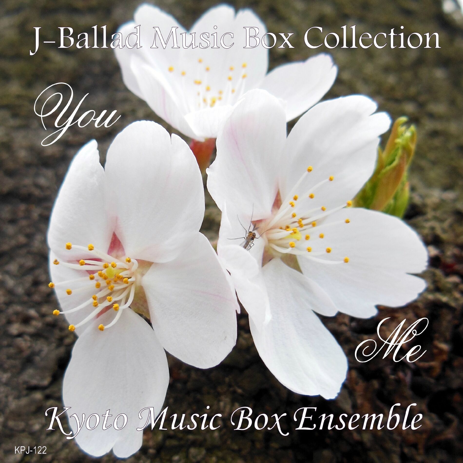 Album cover of Hikoukigumo J-Ballad Music Box Collection YouMe