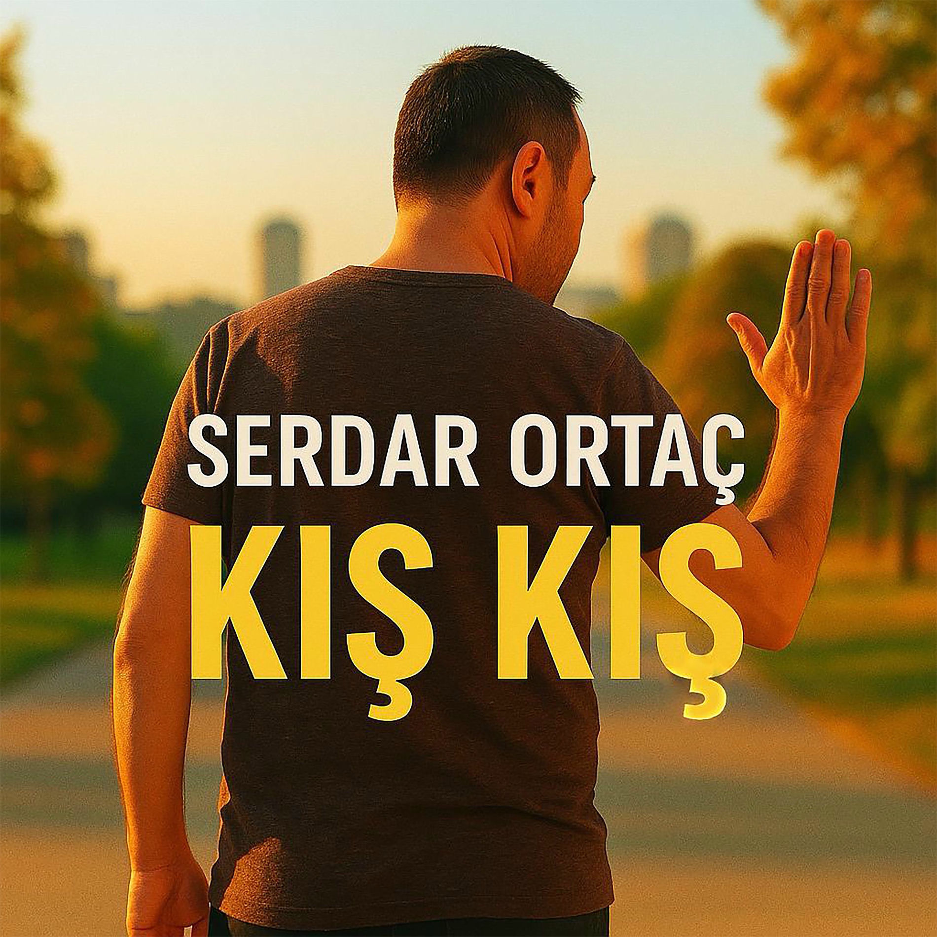Album cover of Kış Kış