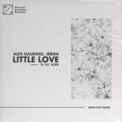 Cover of Little Love (feat. Lil' Love) (Arno Cost Remix)