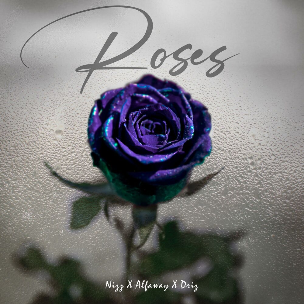 Picture of Roses