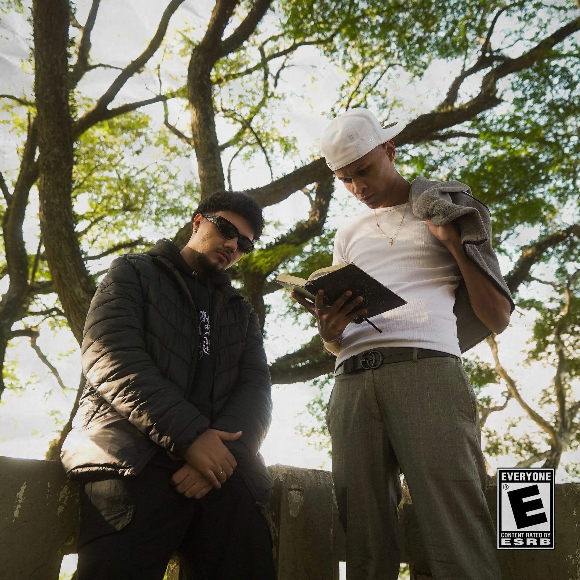 Album cover of Limitado