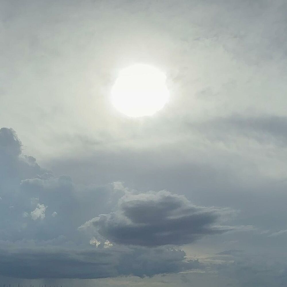 Picture of Icarus