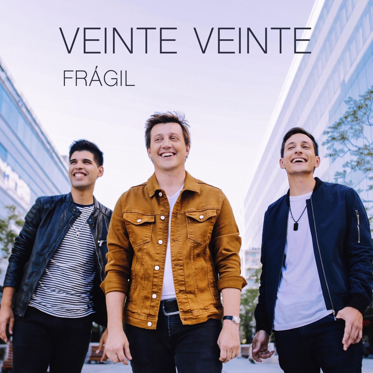 Album cover of Frágil