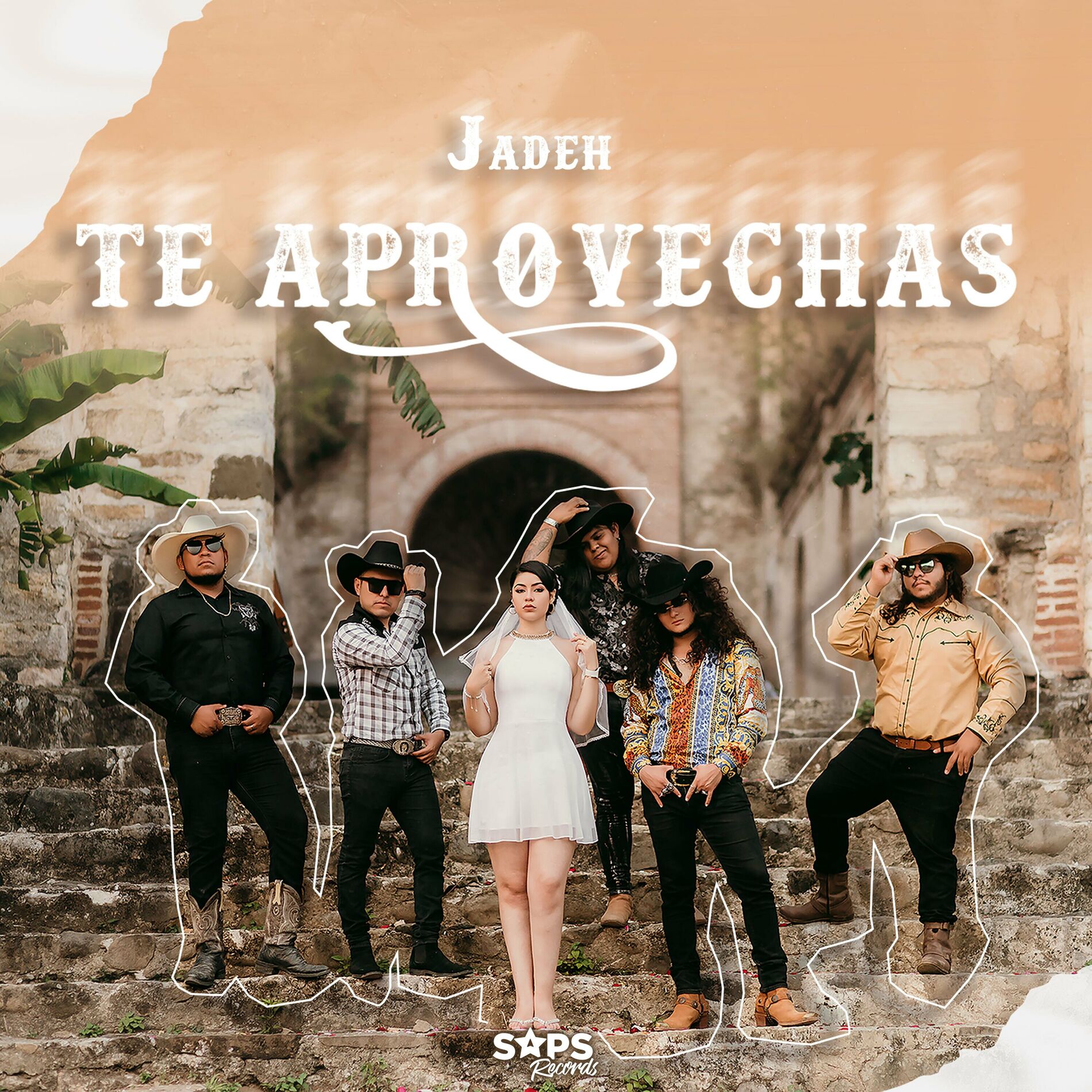 Album cover of Te Aprovechas