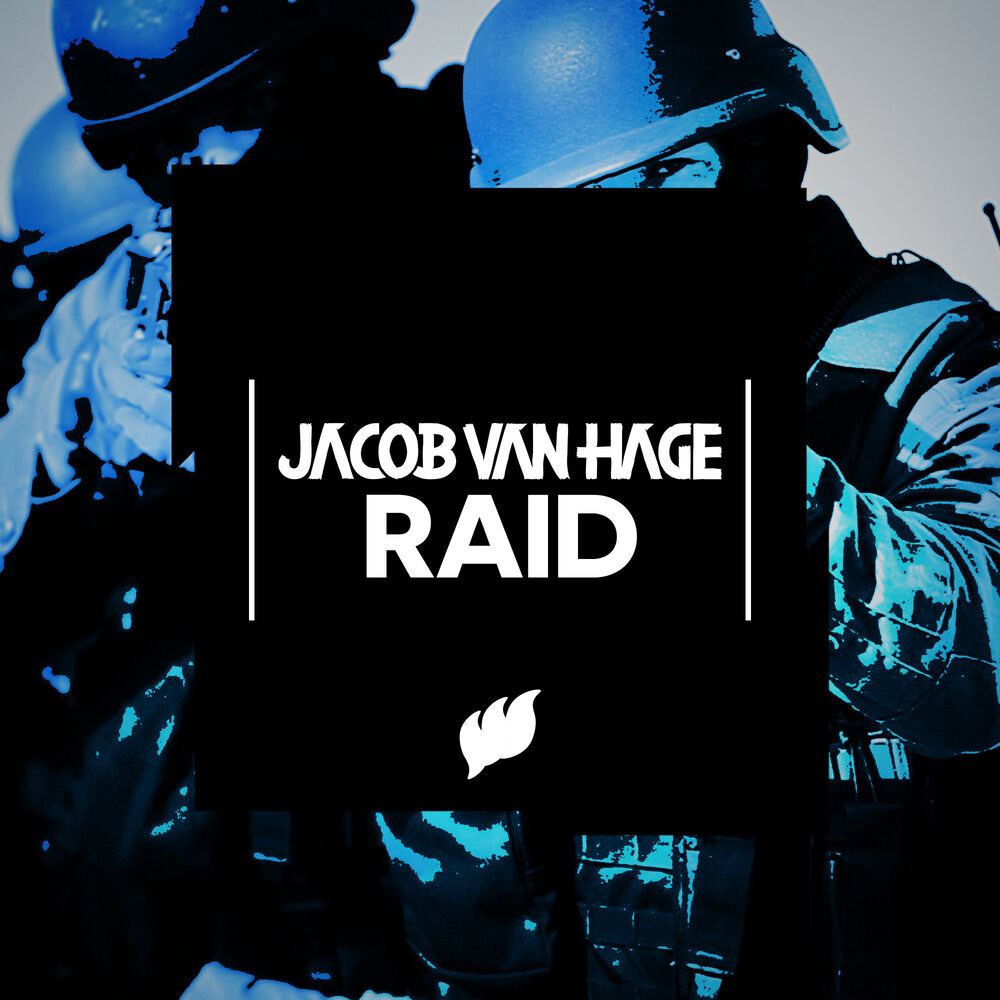 Picture of Raid