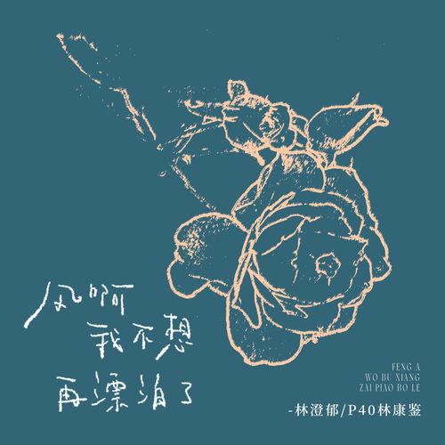 风啊我不想再漂泊了