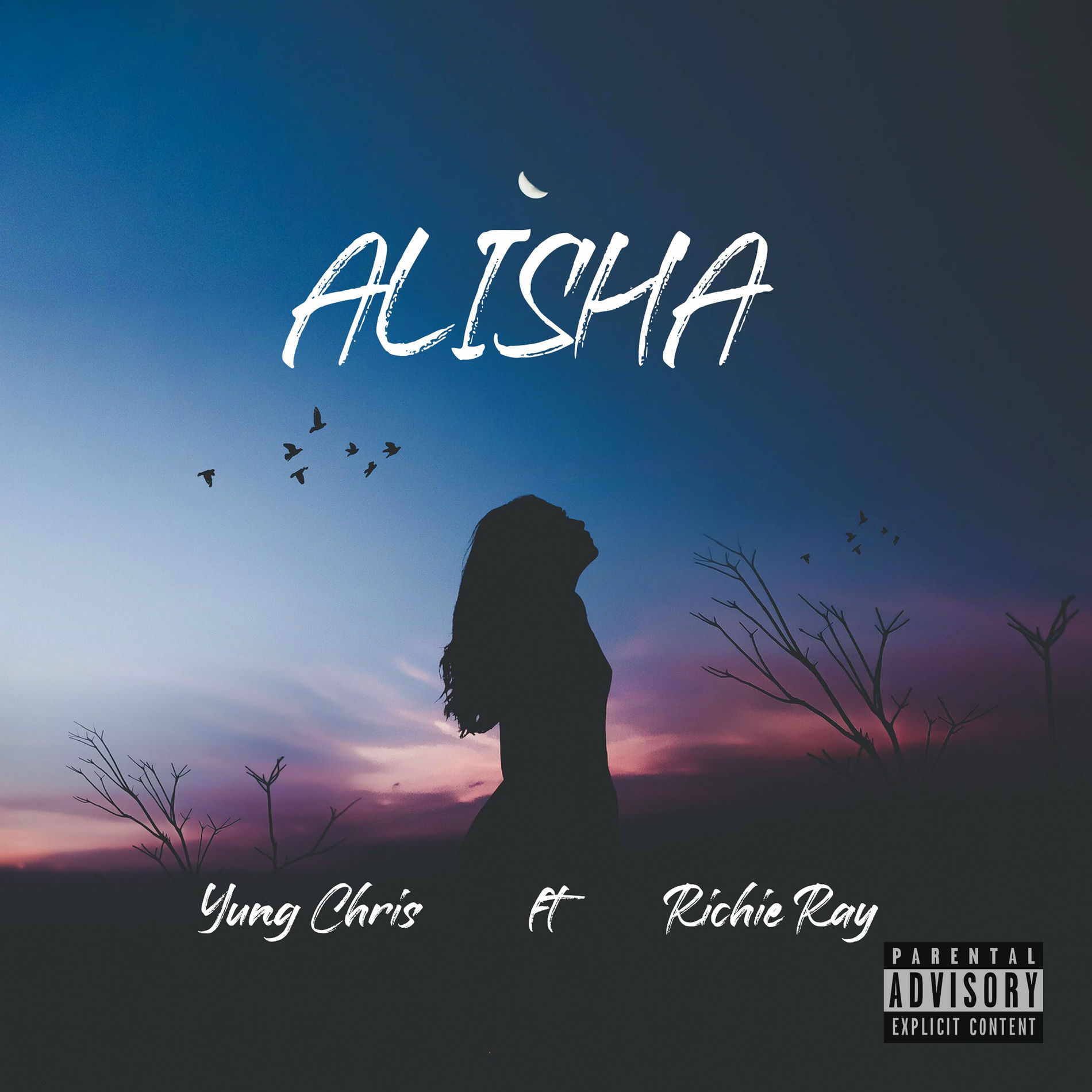 Album cover of ALISHA
