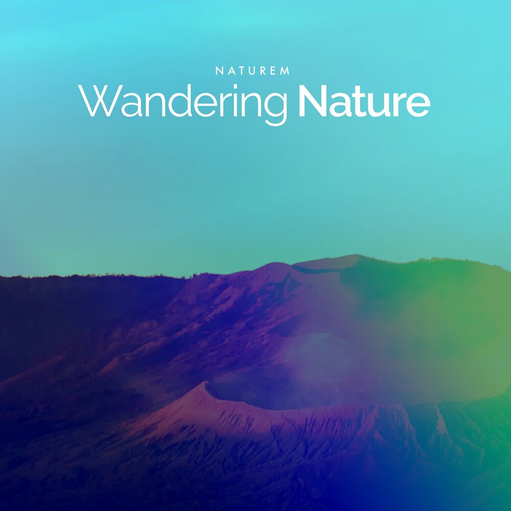 Picture of Wandering Nature