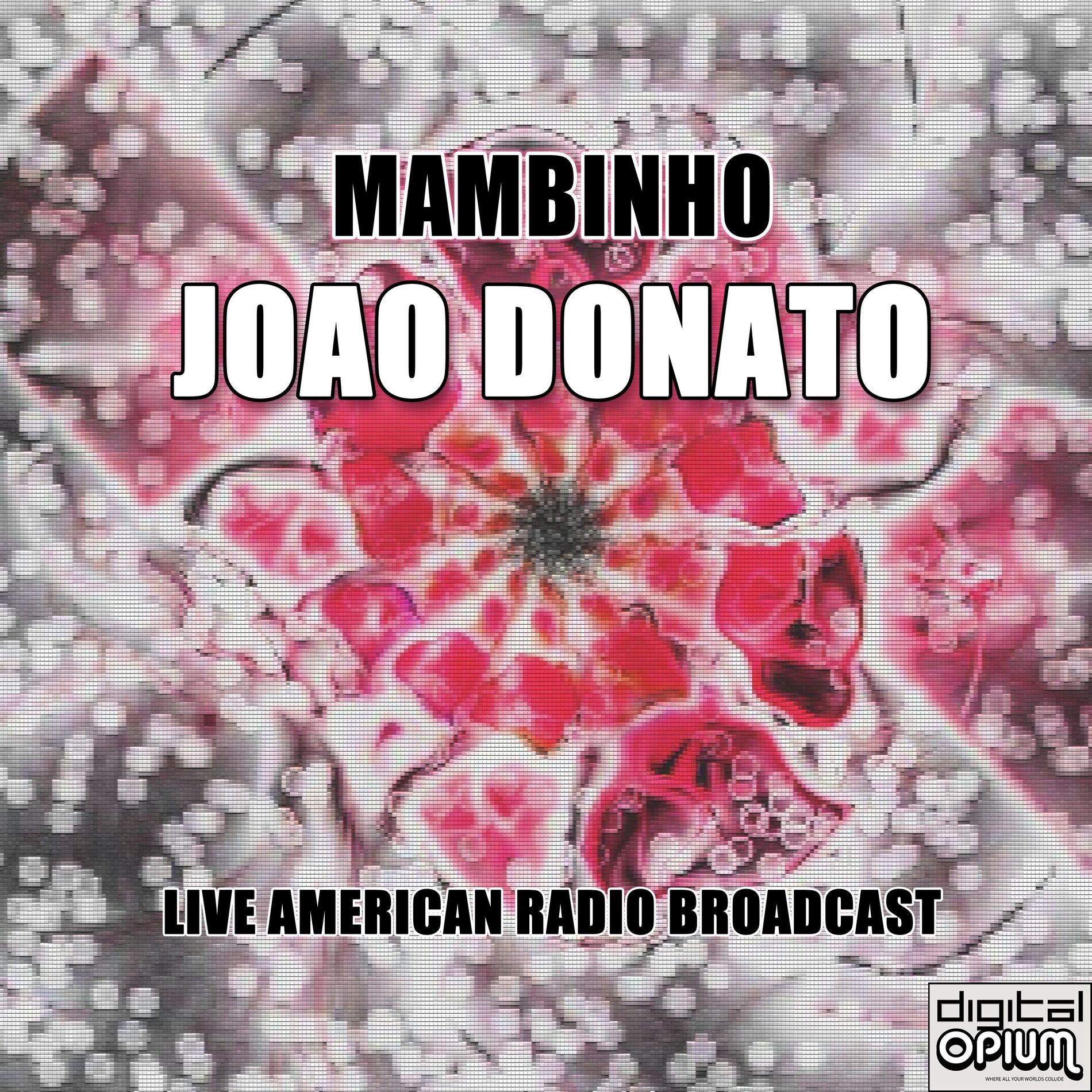Album cover of Mambinho