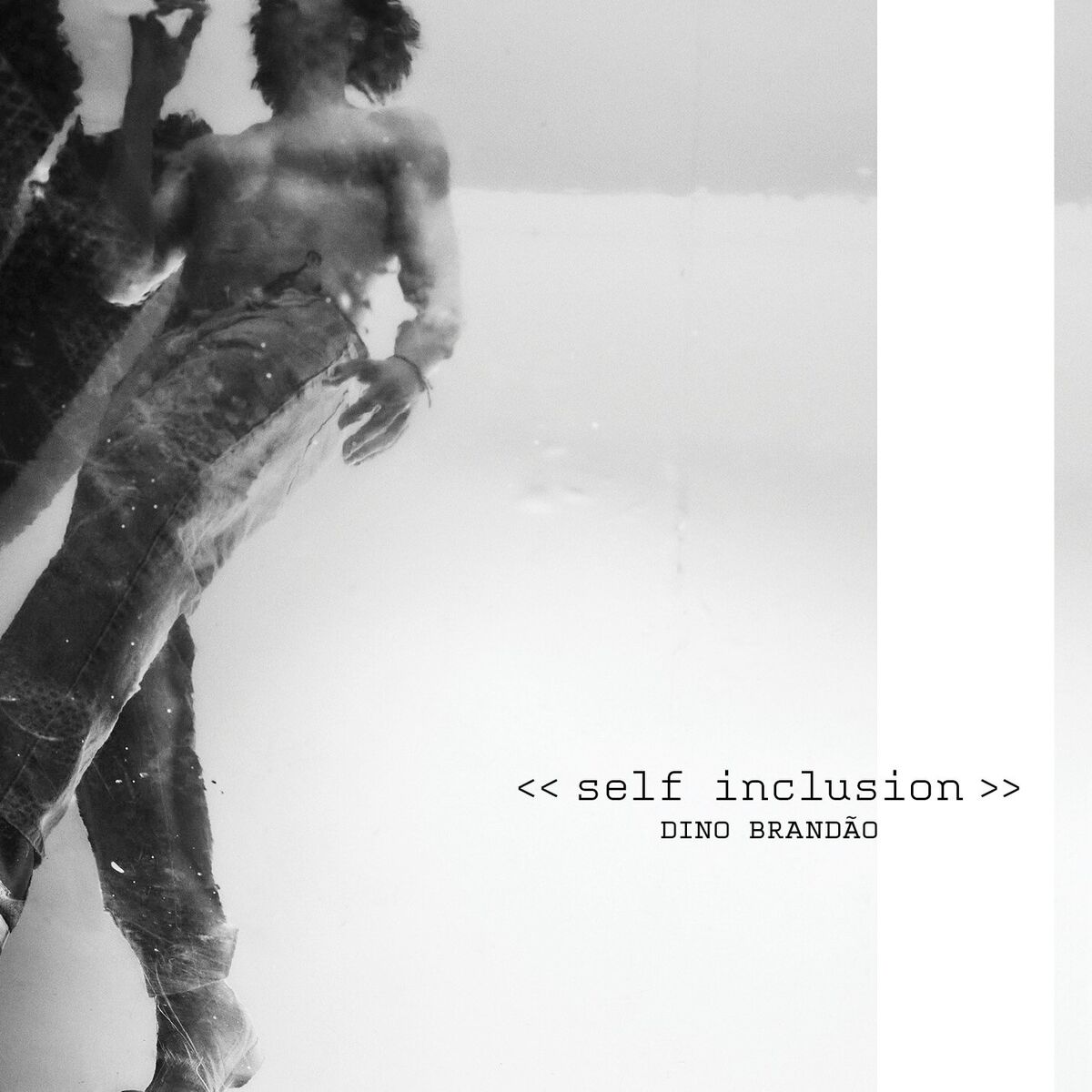 Album cover of Loser