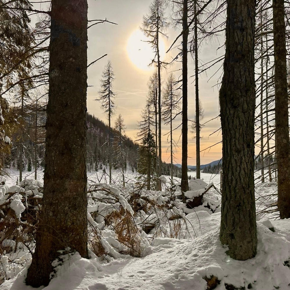 Cold cover