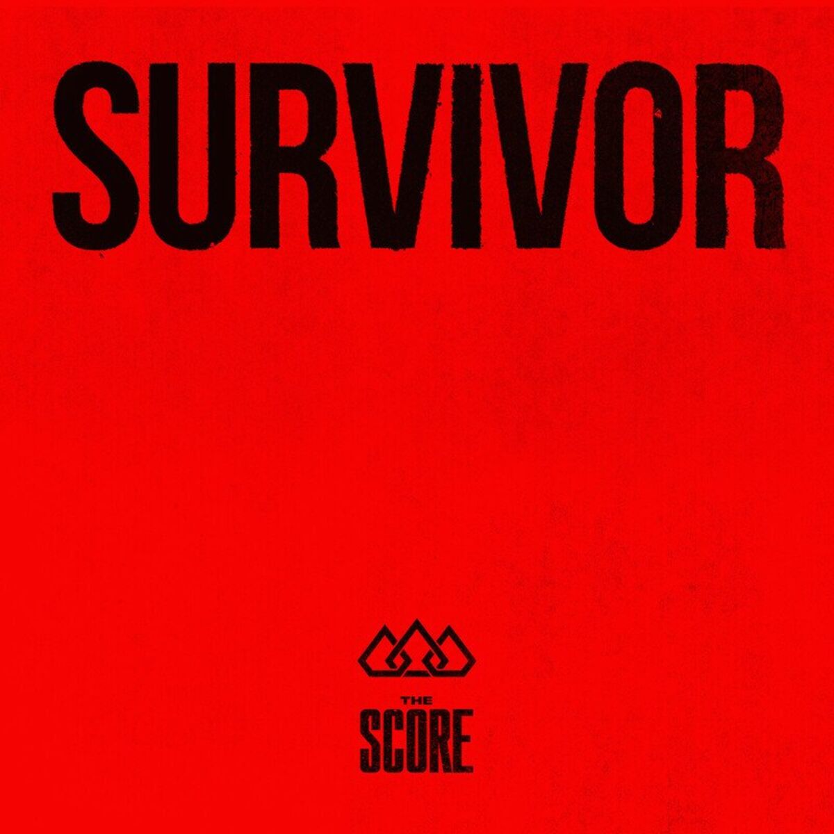 Album cover of Survivor