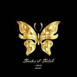 Cover of Shades of Shiloh 2