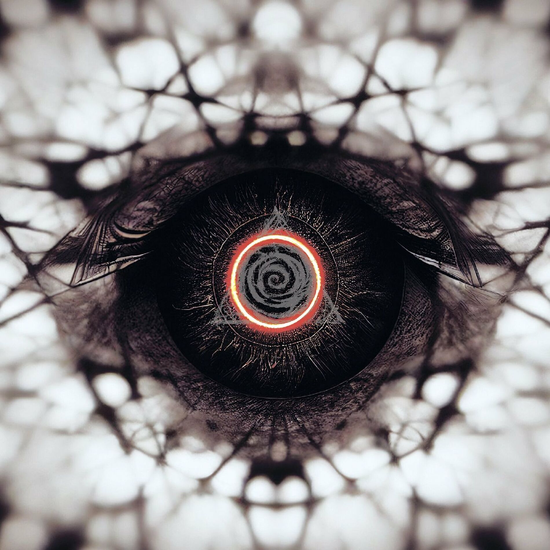 Album cover of Cult Collective 40