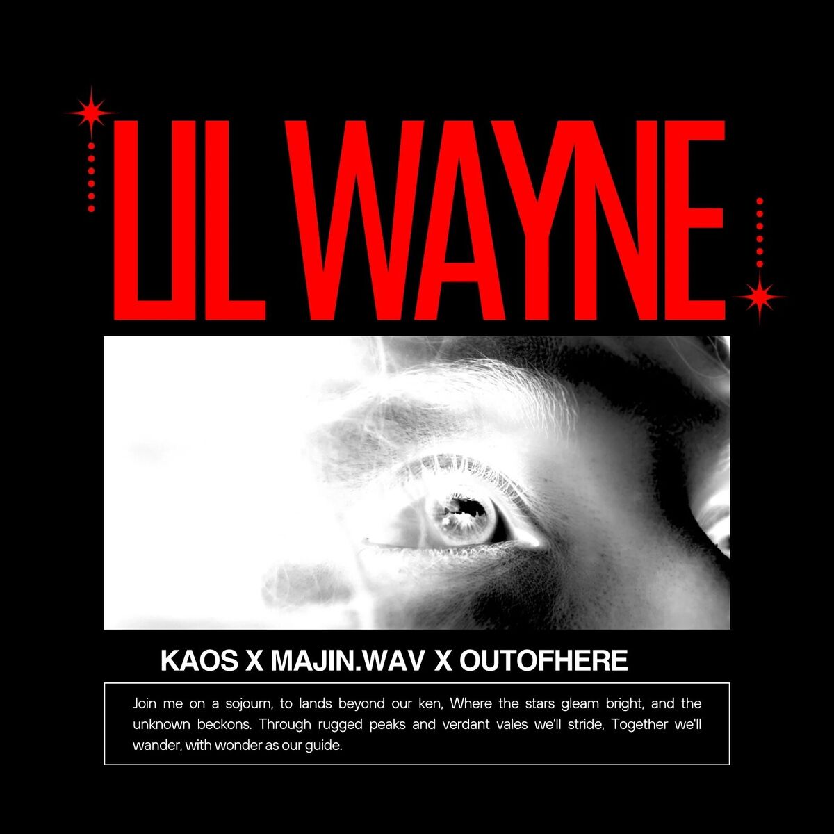 Album cover of Lil Wayne