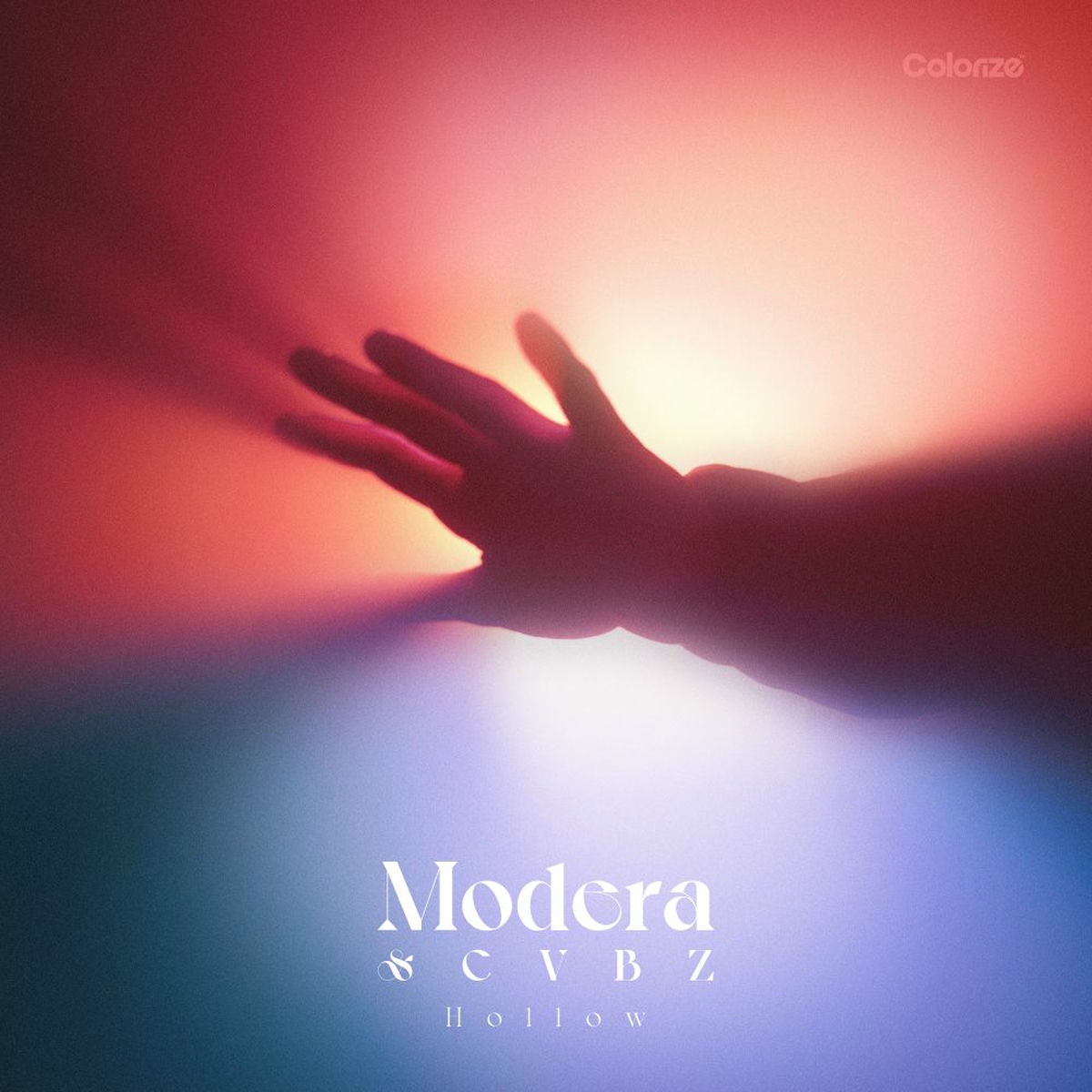 Album cover of Hollow