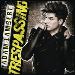 Cover of Trespassing