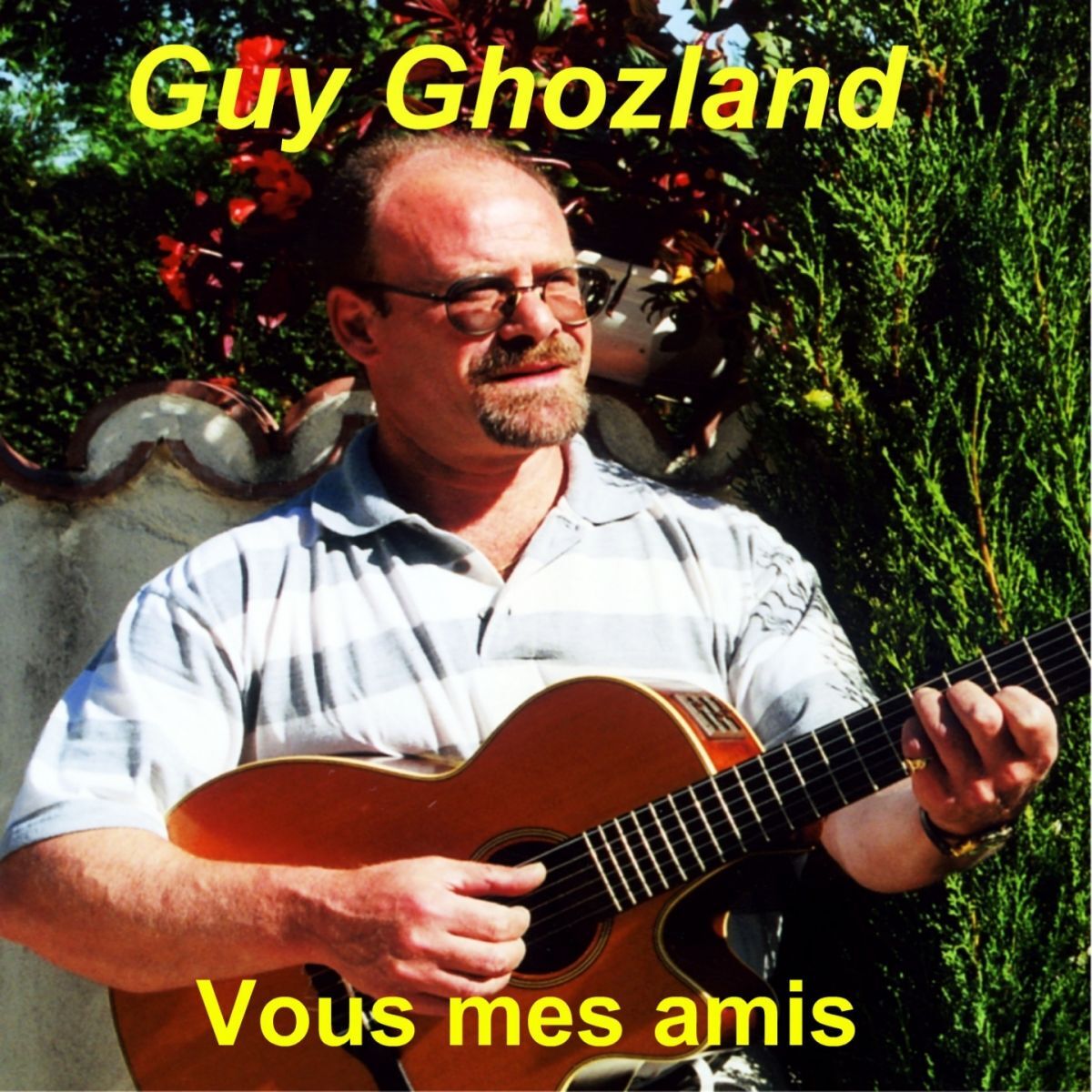 Album cover of Vous mes amis