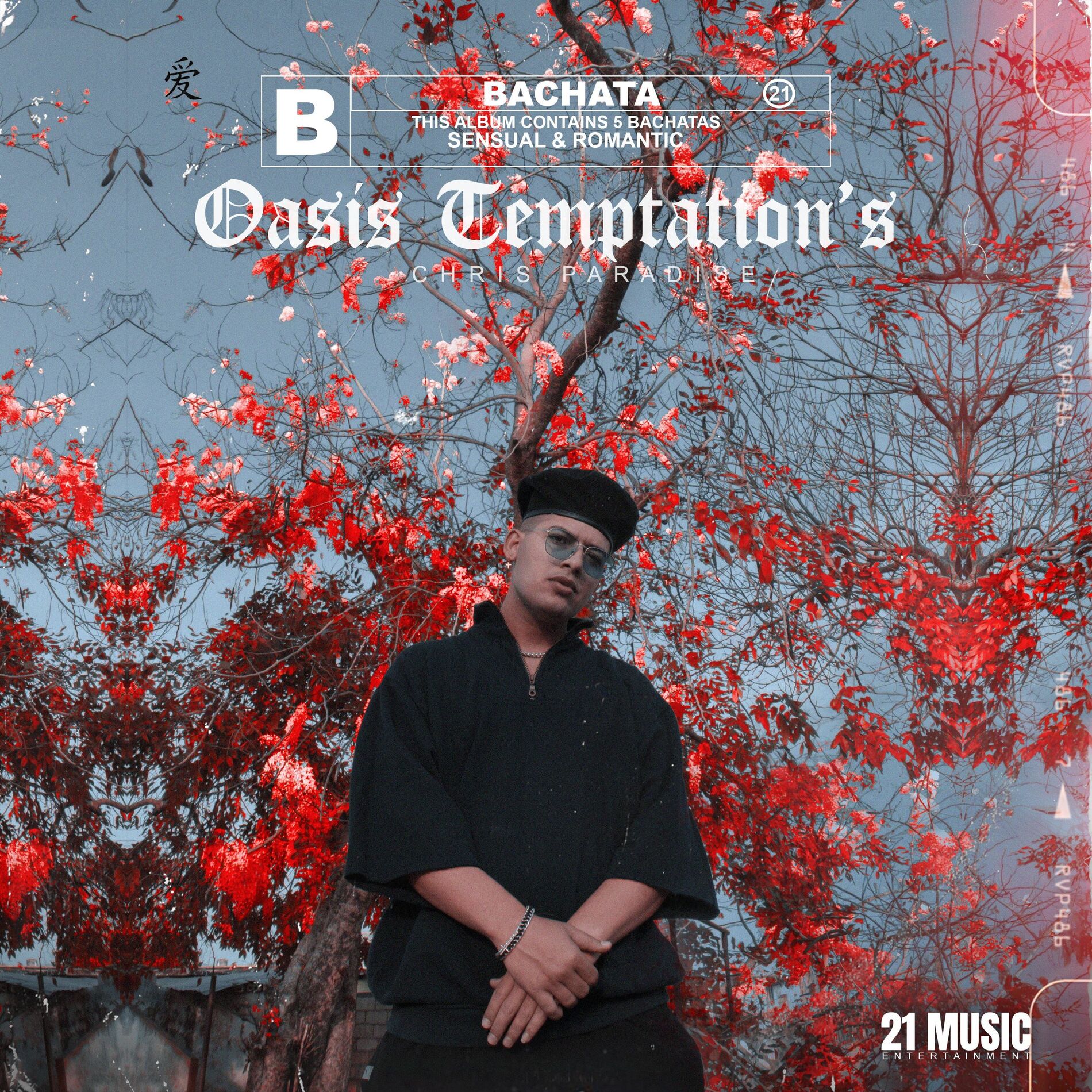 Album cover of Dos Extraños