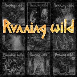 Cover of Riding the Storm: The Very Best of the Noise Years 1983-1995