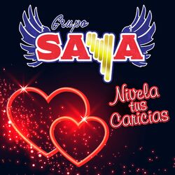 Cover of Nivela Tus Caricias (En Vivo)