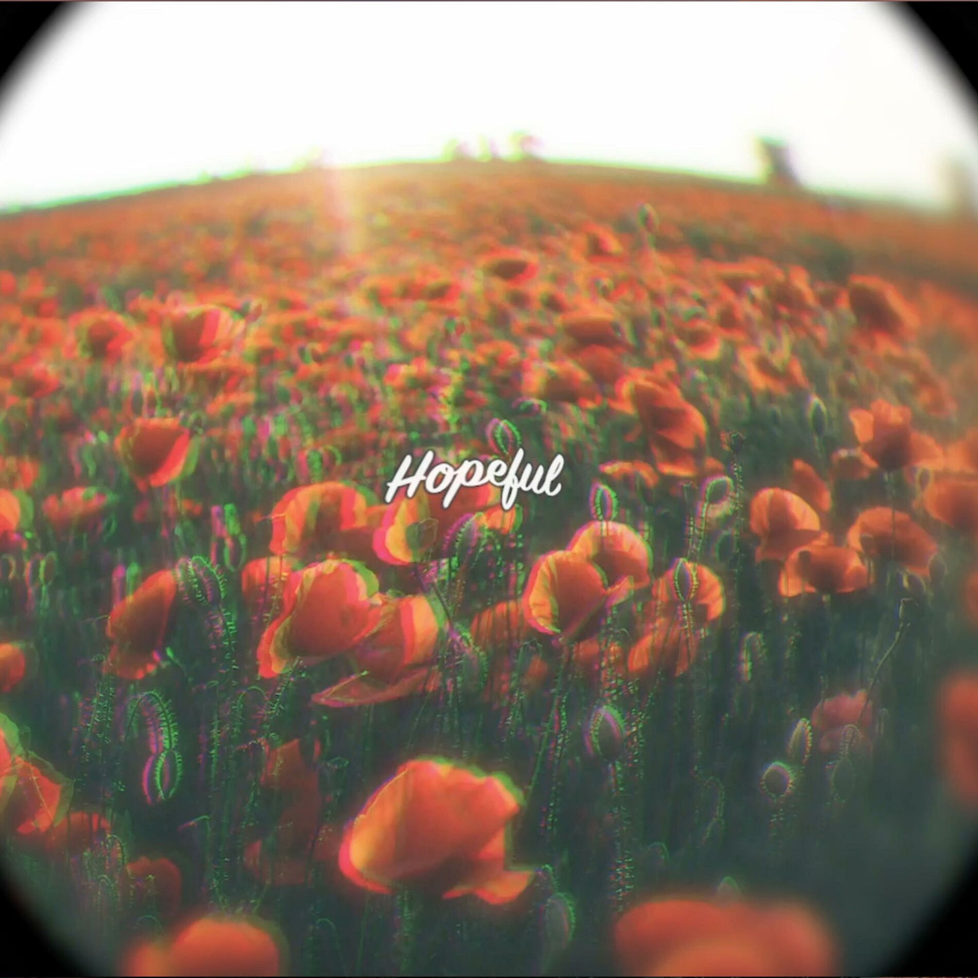 Album cover of Hopeful (feat. Skaiwater & Cappadonna)