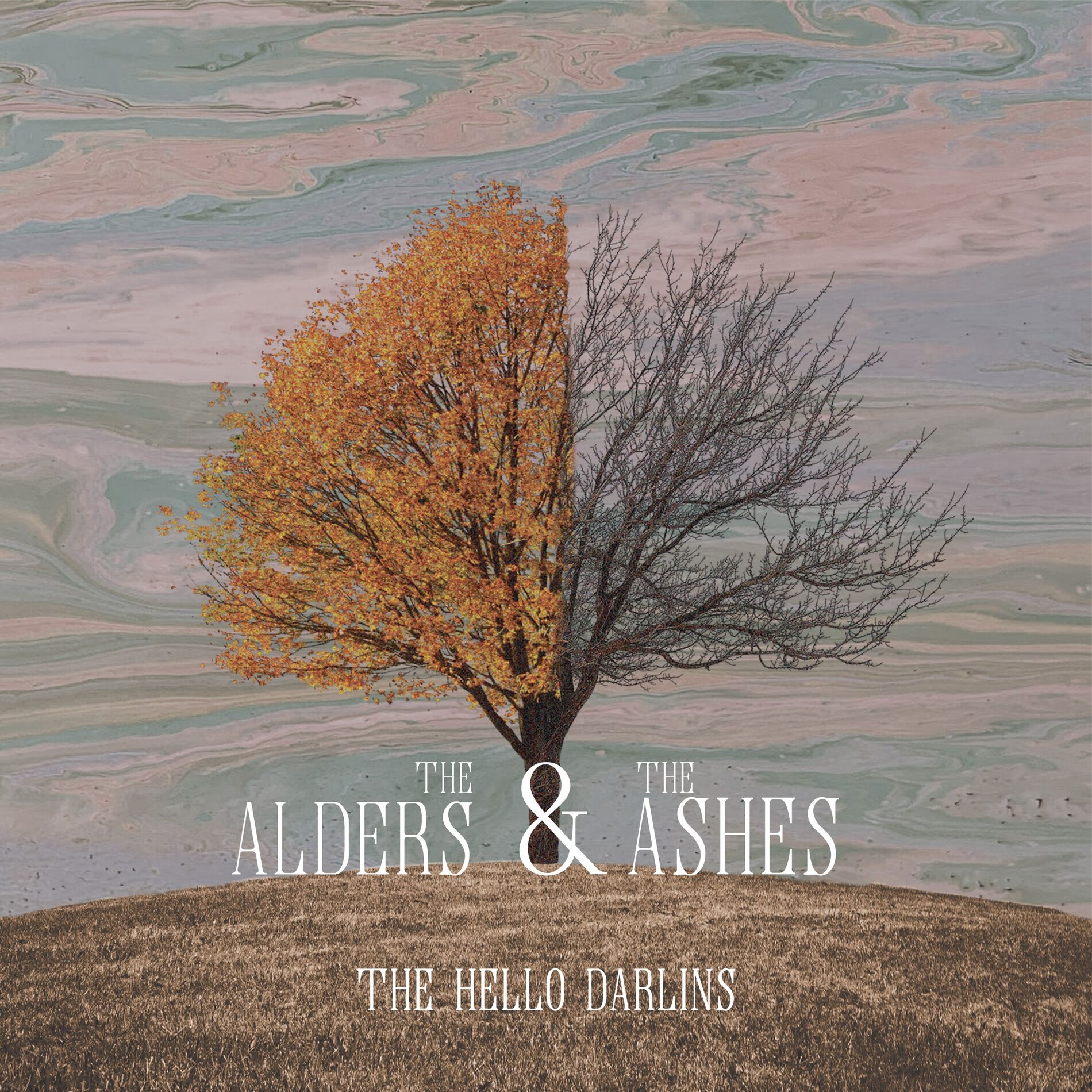 Album cover of The Alders & The Ashes