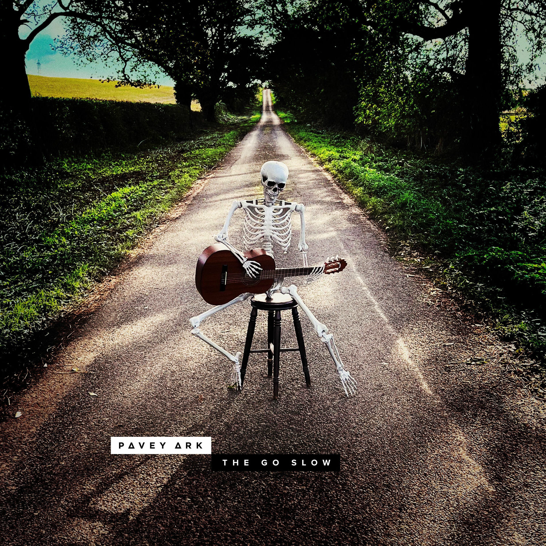 Album cover of The Go Slow