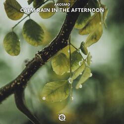 Cover of Calm Rain in the Afternoon