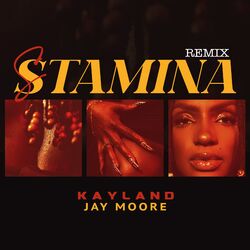 Cover of Stamina (Remix)