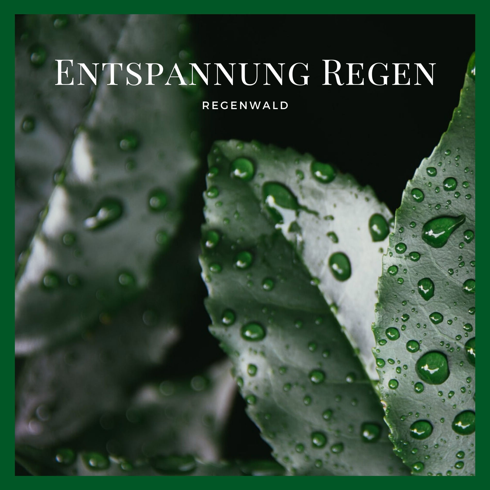 Album cover of Natur Meditation