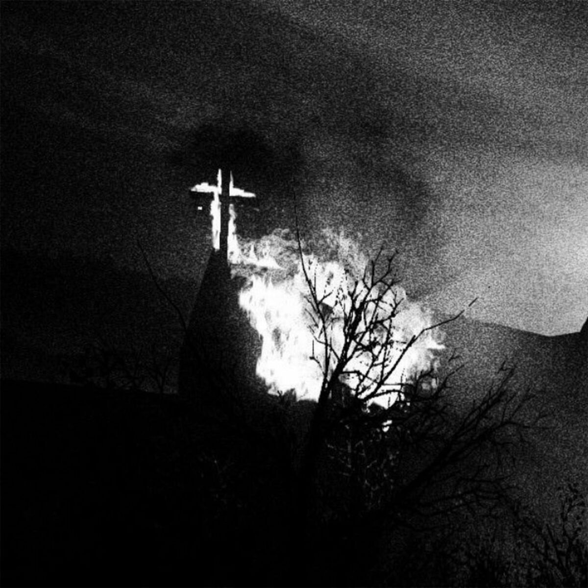 Album cover of WARMING COLD