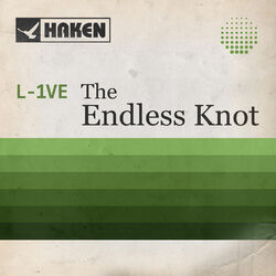 Cover of The Endless Knot (Live in Amsterdam 2017)