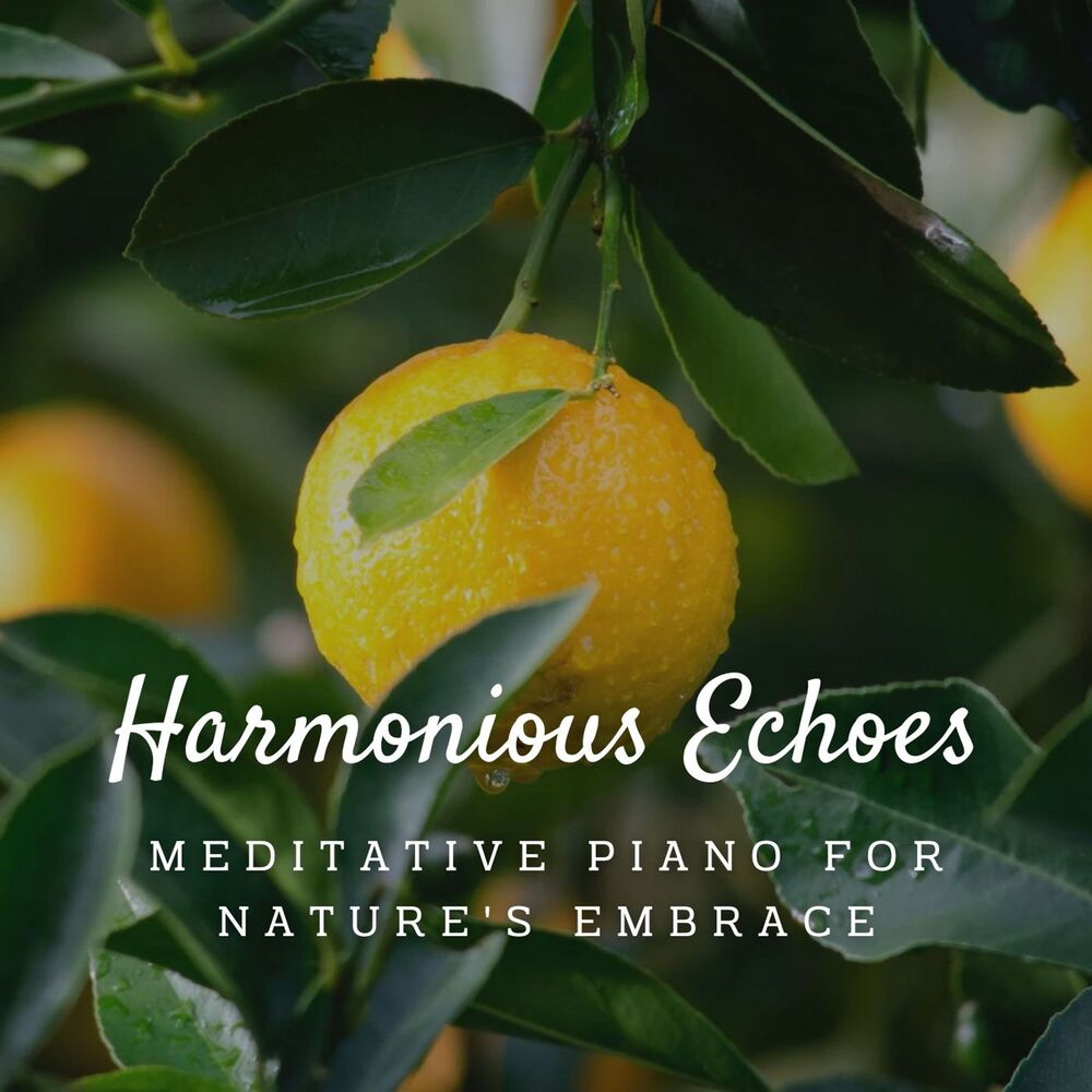 Picture of Harmonious Echoes: Meditative Piano for Nature's Embrace