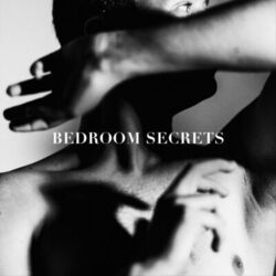 Cover of Bedroom Secrets