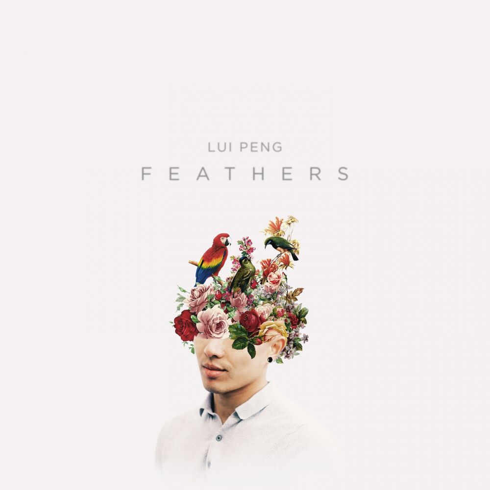 Picture of Feathers
