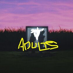 Cover of ADULTS