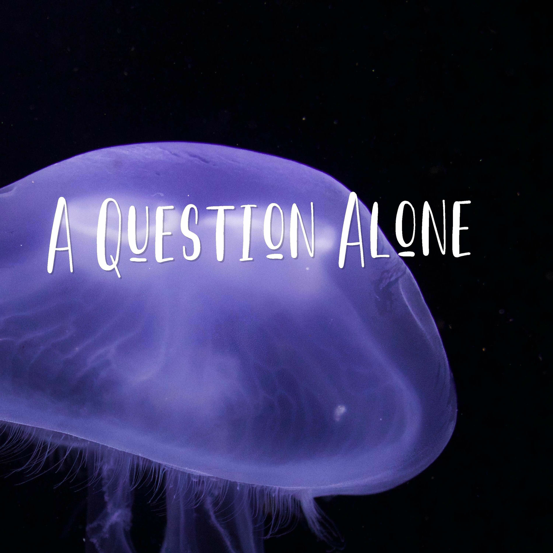 Album cover of A Question Alone