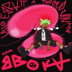 Cover of UNA BOKA