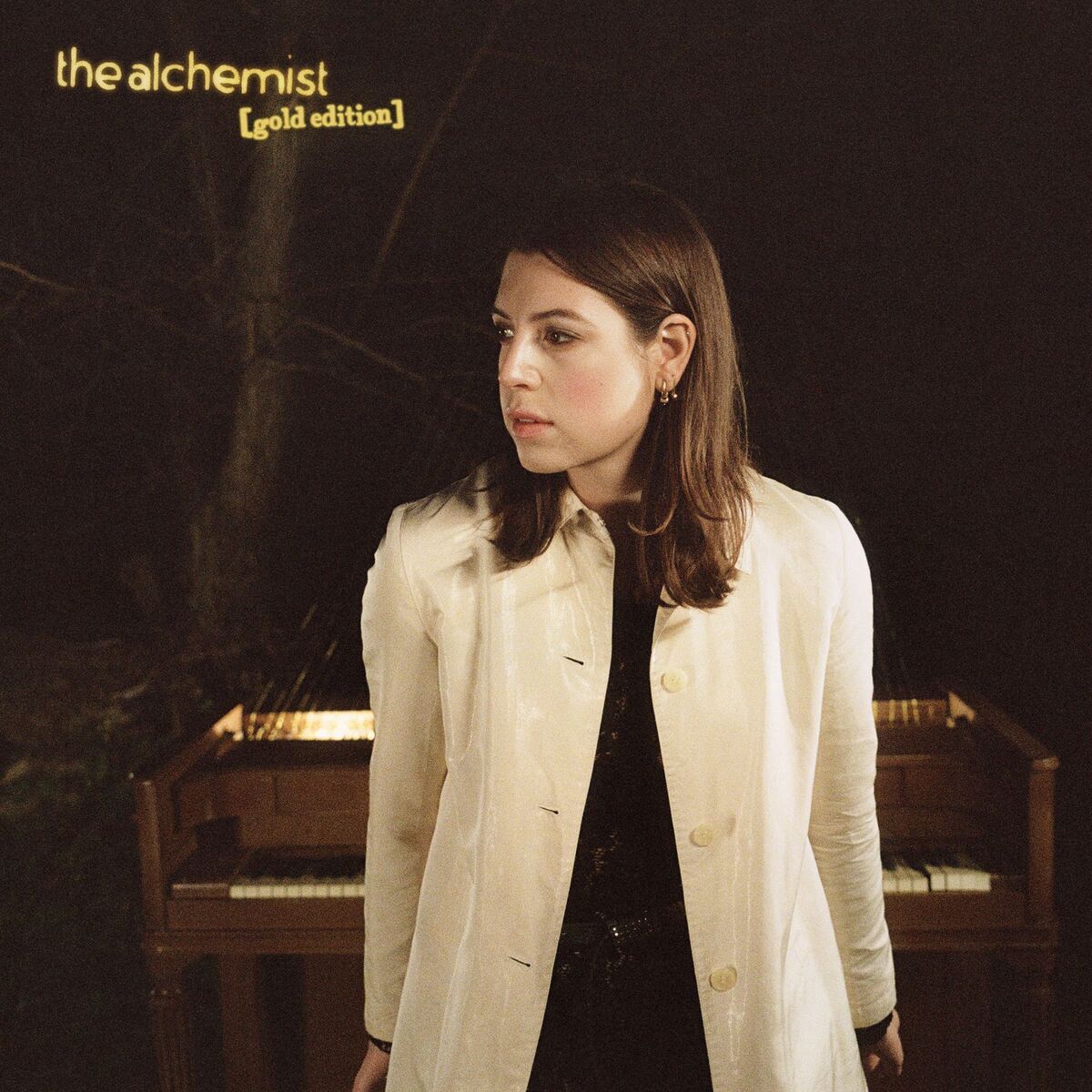 Album cover of The Alchemist (Gold Edition)