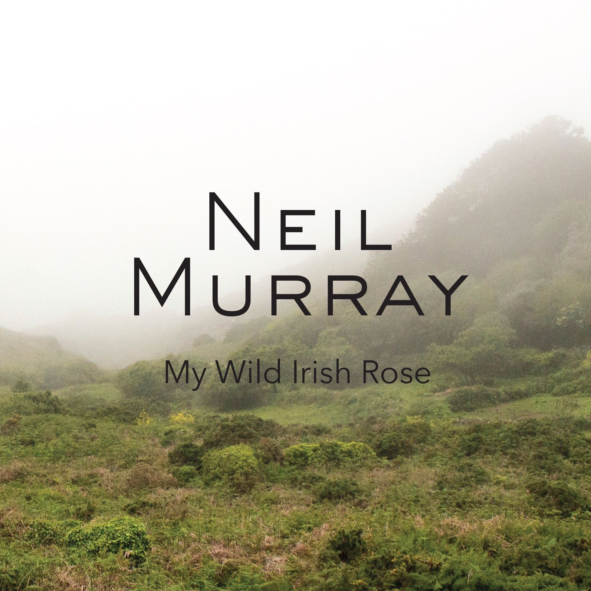 Album cover of My Wild Irish Rose