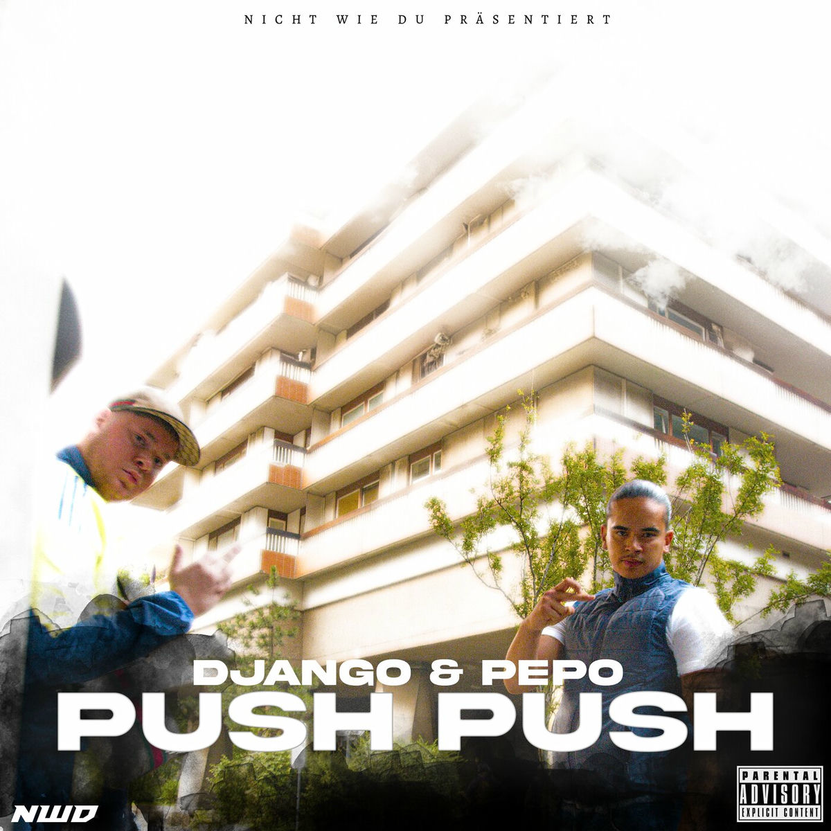 Album cover of PUSH PUSH