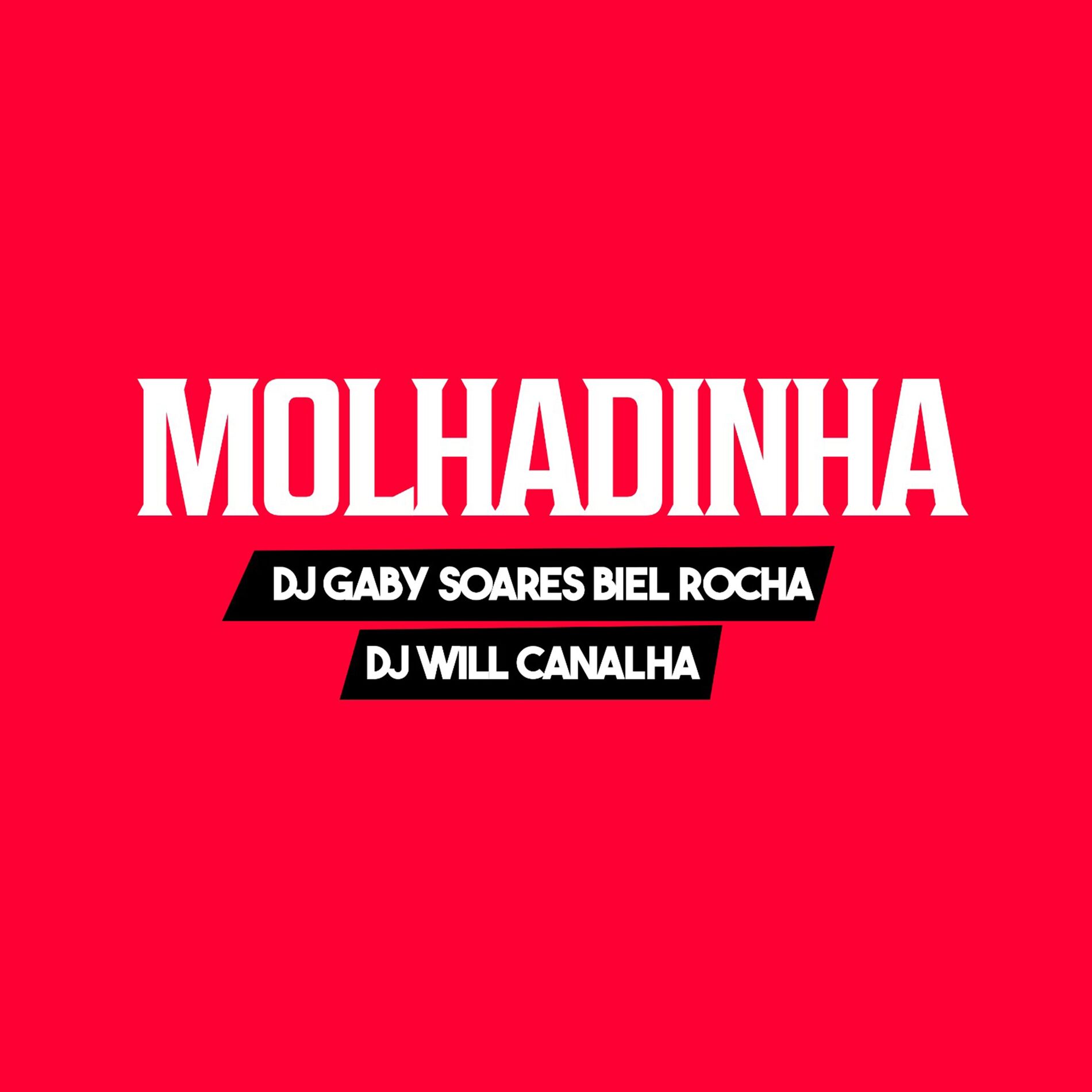 Album cover of Molhadinha