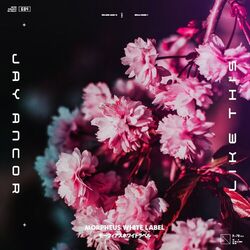 Cover of Like This
