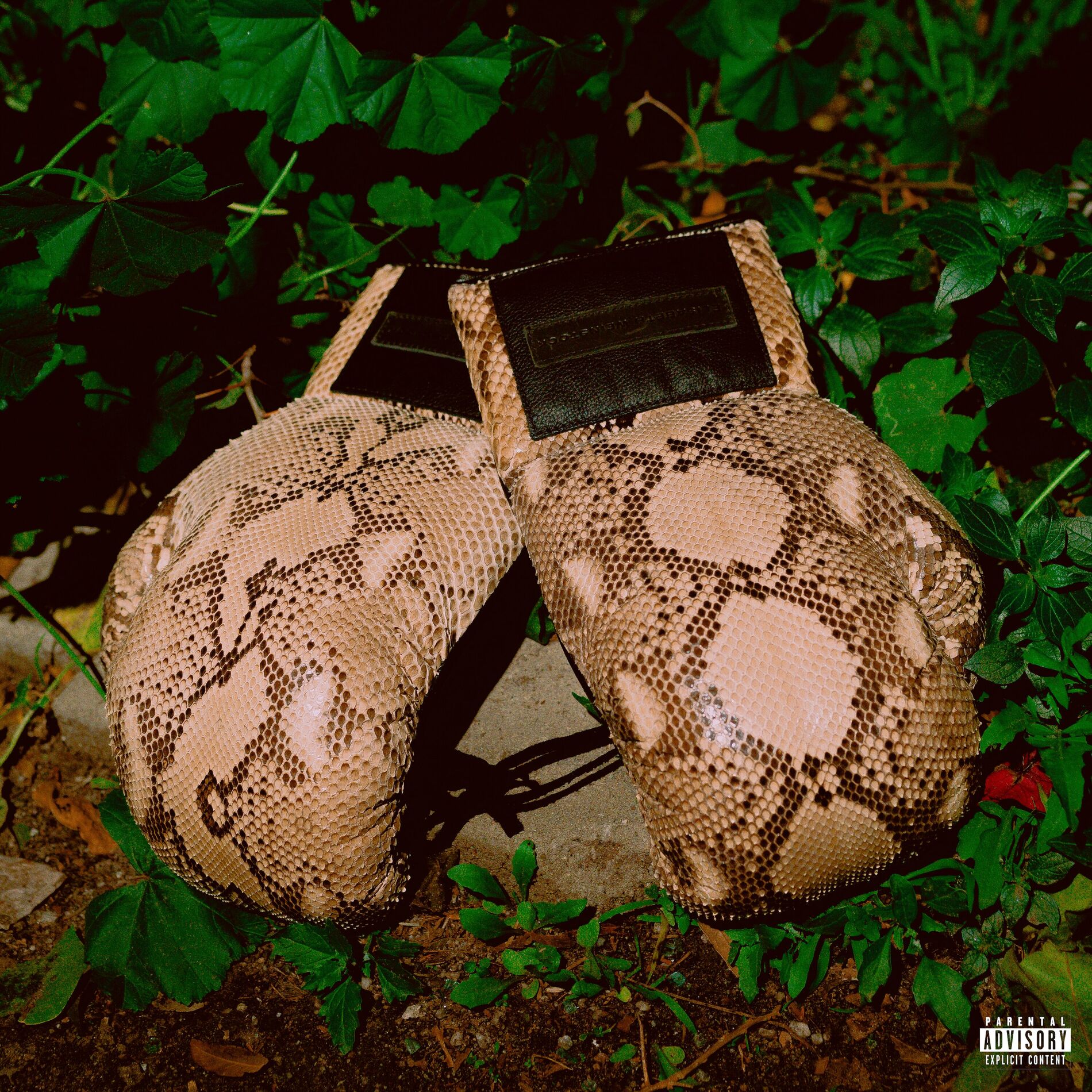 Album cover of THEODORE & ANDRE