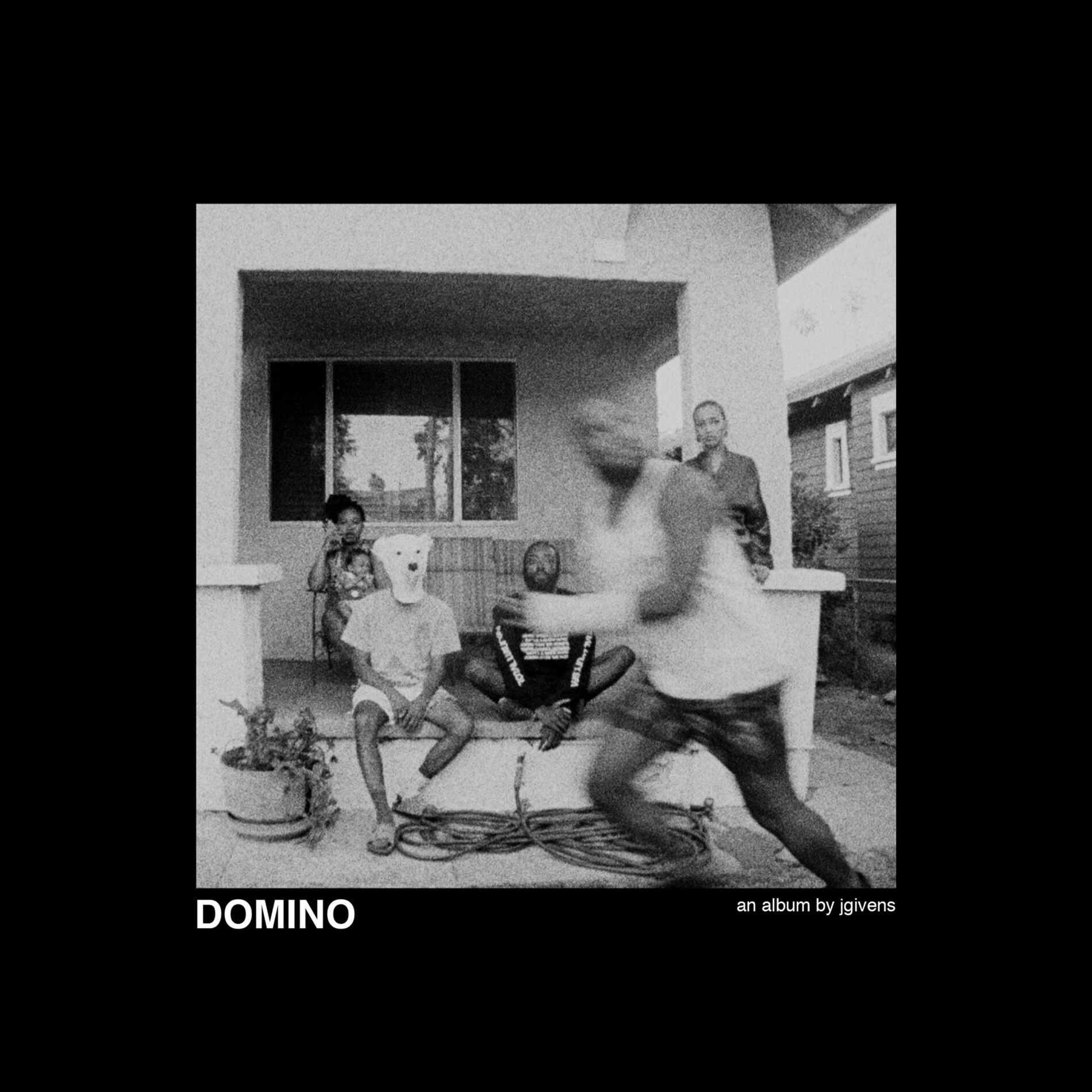 Album cover of Domino