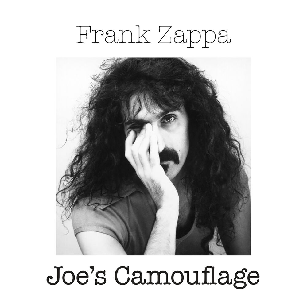 Picture of Joe's Camouflage