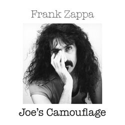 Cover of Joe's Camouflage